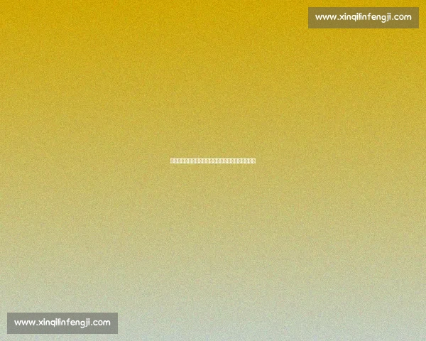 火箭迎战小牛：激烈对决背后的战略与球星表现全解析